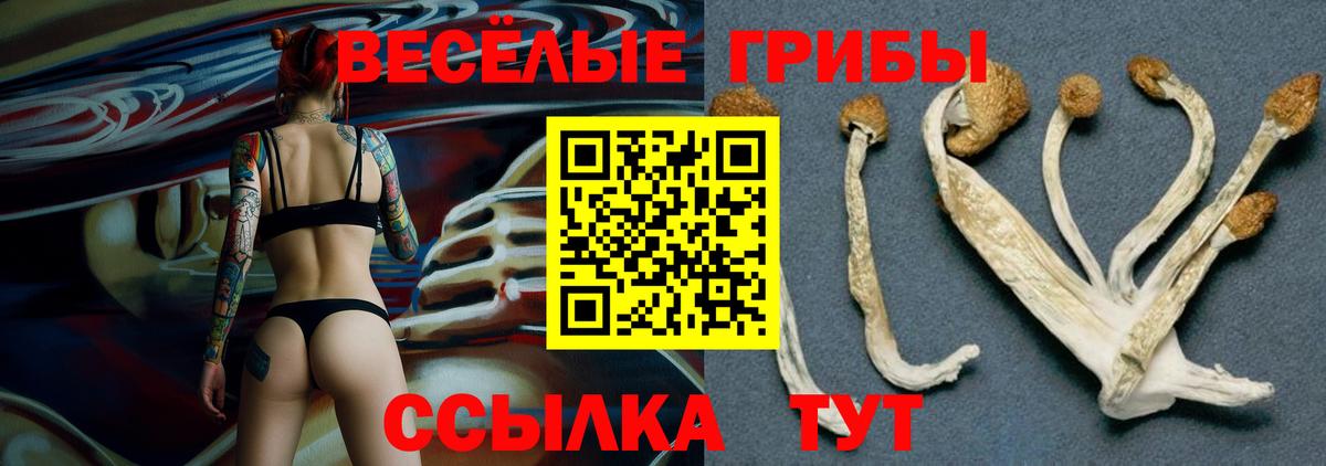 Галлюциногенные грибы Psilocybe  Вход с VPN  Ногинск 